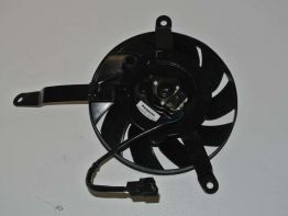 Fan Triumph Tiger Explorer