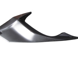 Seitenverkleidung links klein Kawasaki Ninja 650
