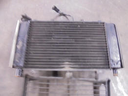 Kuhler Yamaha FZ6