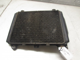 Kuhler Kawasaki GPX 600