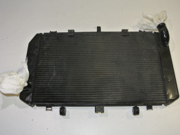 Radiateur Kawasaki Z 750