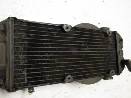 Kuhler Honda VT 700 750