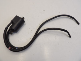 Bobine Yamaha FJR 1300