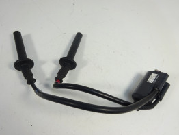 Bobine Yamaha FAZER 1000