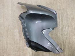 Linker zijkuip BMW R 1200 RT