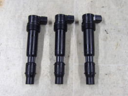 Zundspule Triumph Tiger 900 Rally Pro