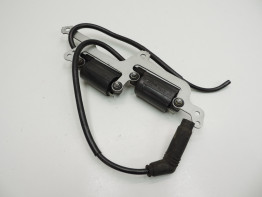 Bobine Aprilia RSV 1000