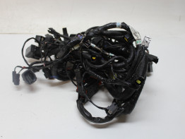 Kabelboom Triumph Sprint GT 1050