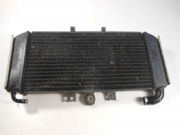 Radiator Yamaha FAZER 600