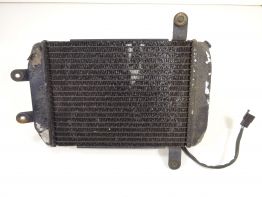 Radiator Suzuki Burgman AN 250