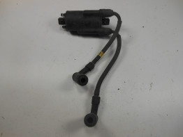 Bobine Kawasaki LTD 550