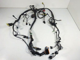 Kabelboom Kawasaki ER 6