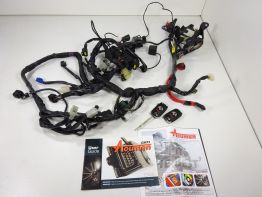 Kabelbaum Yamaha YZF R1