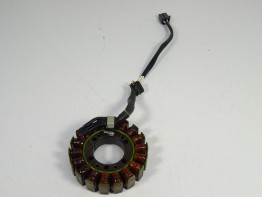 Dynamo Kawasaki ER 6