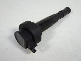 Bobine BMW K 1300 GT