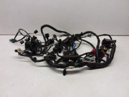 Wire Harness Kawasaki Z 800
