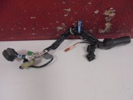 Wire harness front Honda CBR 1100 XX
