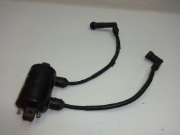 Bobine Kawasaki VN 700 750