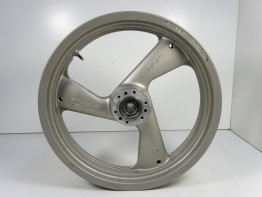 Voorvelg Ducati monster 600