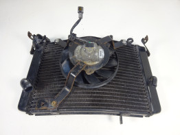 Radiateur Triumph Street Triple 675