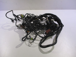 Wire Harness MV Agusta 675 Brutale