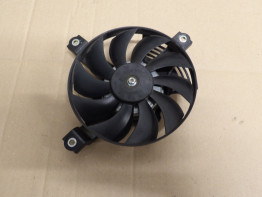 Fan Suzuki DL 1000 V STROM