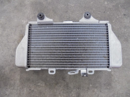 Radiateur Honda CRF 1100L Africa Twin Adventure Sports ES