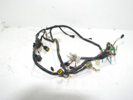 Wire Harness Kawasaki ZR 7