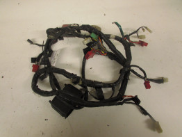 Kabelbaum Honda CBR 600 F