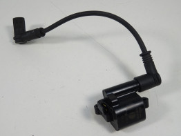 Bobine Ducati monster 796