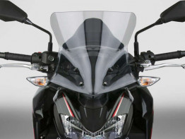 Kuipruit Kawasaki Z 900