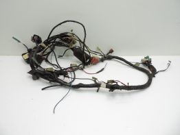 Wire Harness Kawasaki GPZ 900