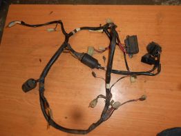 Wire Harness Yamaha XJ 600 Diversion