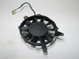 Lufter Triumph 900 Daytona