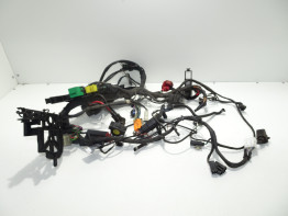Wire Harness BMW F 650 CS Scarver