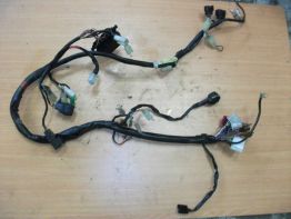 Wire Harness Yamaha FAZER 600