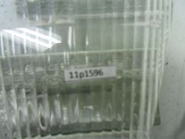 Achterlicht Yamaha YZF R6