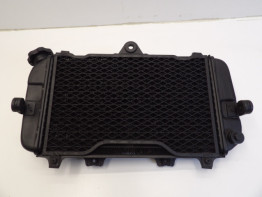 Radiateur Yamaha TDM