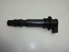 Bobine Triumph Tiger 1050