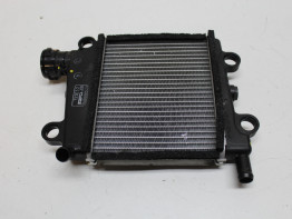 Radiateur Yamaha N Max 125