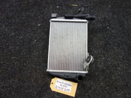 Radiator BMW R 1250 GS Adventure