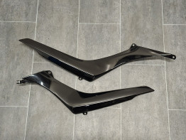 Carenado trasero BMW R 1200 R