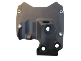 Overig Ducati Panigale V4 R