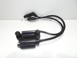 Bobine Aprilia Falco