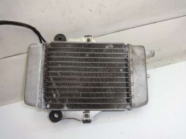 Radiateur Honda Dylan