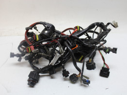 Kabelboom Ducati Monster S4RS