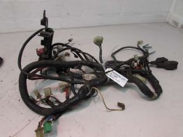 Wire Harness Kawasaki ZZR 250