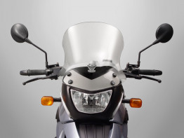 Kuipruit BMW F 650 GS