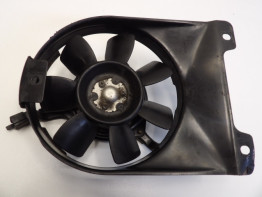 Fan Yamaha TDM