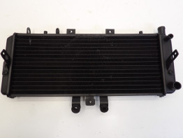 Radiator Triumph T509 Speed Triple